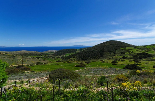 Pristine Mountain Escape — Sweeping Views, Privacy, and Serenity