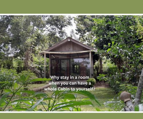 Private Cabin and private Kitchen - Experience serenity, and beautiful nature