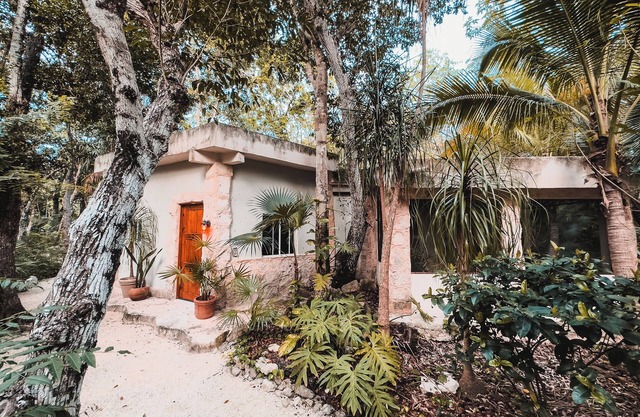 Private casita in lush jungle oasis with a/c, pool, gym, fiber wifi and laundry