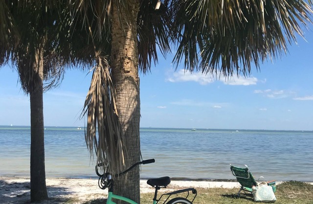 Private Cottage & Courtyard, 4 min drive to St Pete, Walk to Bay, 6 mi to Beach