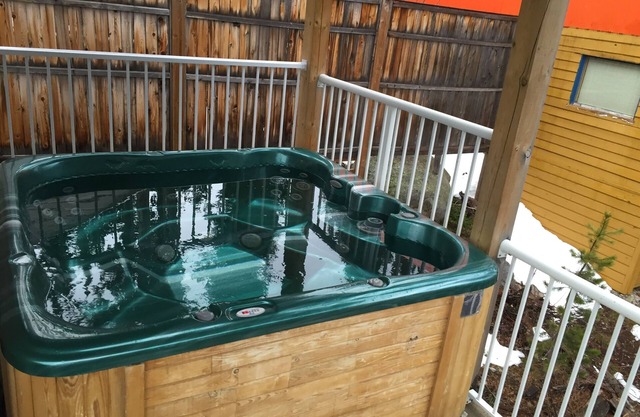 Private Hot Tub! LOCATION! Ski in/out on Perfection Run, 5 min walk to village
