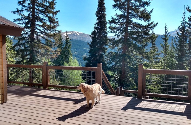 Private Mountainside Perch with Hot Tub/Pet Friendly/Retro Chic - Alpine Haus