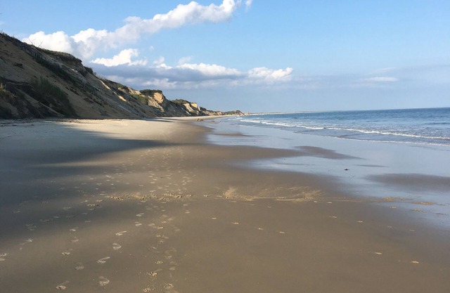 Private Oceanfront Compound, 1/3 mi Private Beach, AC, Chilmark, WiFi