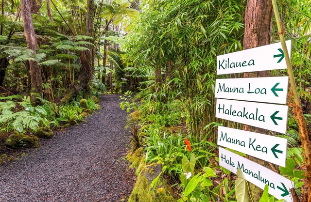 Private Rainforest Retreat in Volcano Village