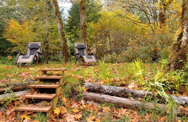 Private- Sol Duc Riverside- 2 king 2 bath- adjacent to NFS trails- great locale