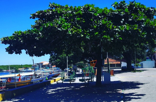 Privilege aparthotel by the sea