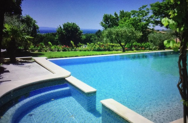 Property in the vaucluse province: Infinity pool/Jacuzzi/View