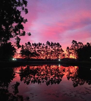 Propriedade inteira - duas suítes, pavilhão e espaço externo