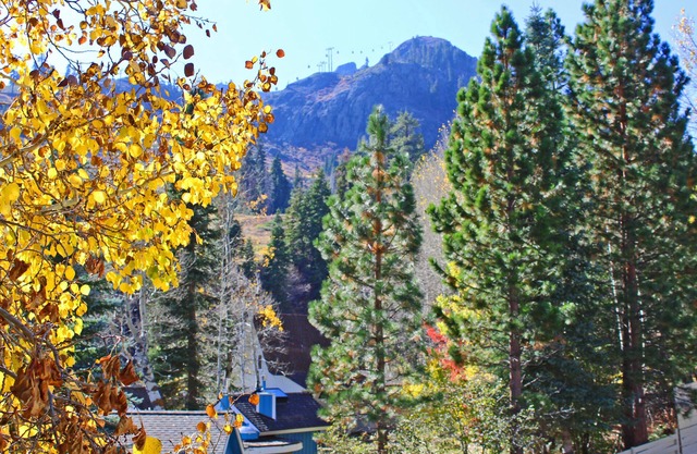 PT Lodge: Ski-in/out Studio plus Loft with full-size refrig,