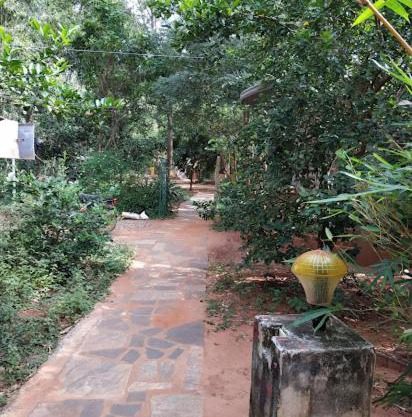 Purity guesthouse