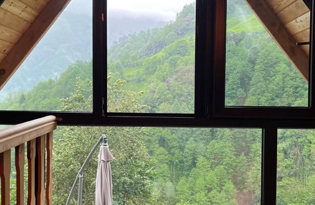 Pus-1 Dağ Evi