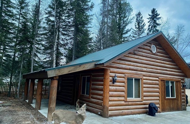 Quaint cabin in the woods