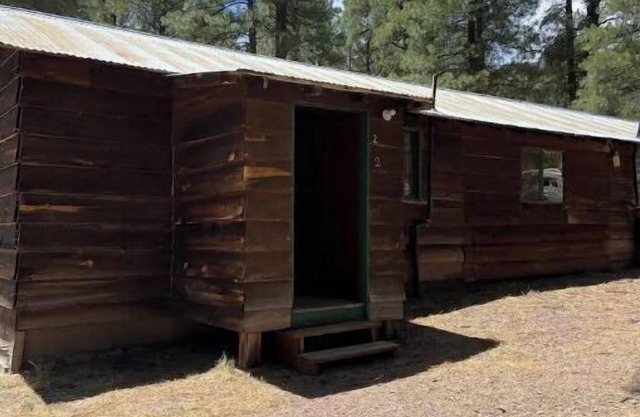 Quaint Country Cabin in the tall pines AlpineAZ #2