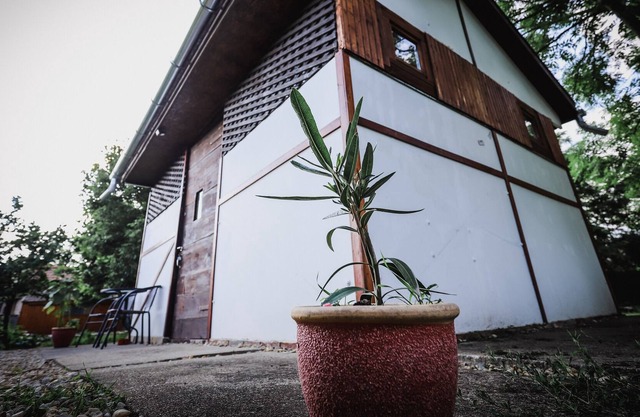 Quality compact self-catered private accommodation in Tiszadob with garden