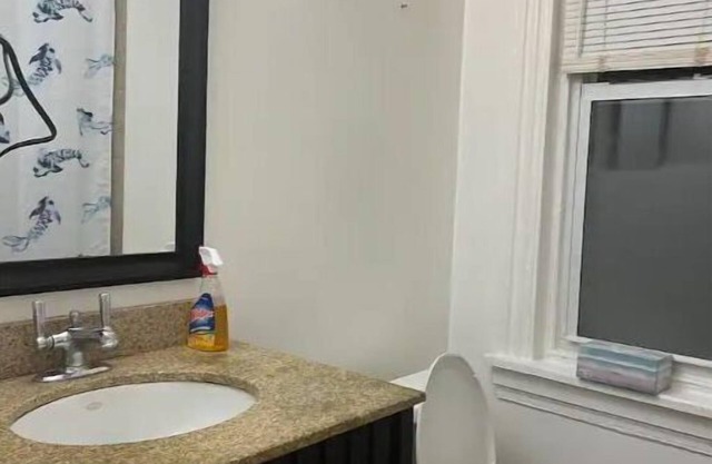 Quiet 1 bdrm aptmt has backyard