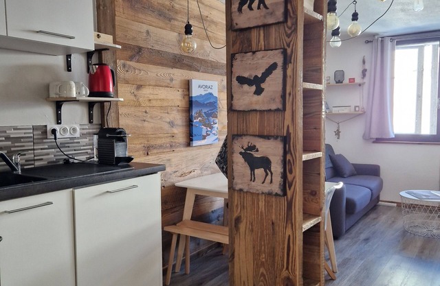 Quiet 2-room apartment, ski-in/ski-out.