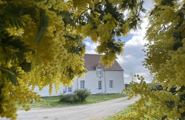 Quiet Country House - Pets accepted.