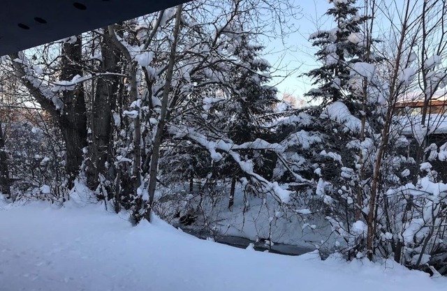 Quiet Gem, right on a creek. Newley Renovated.