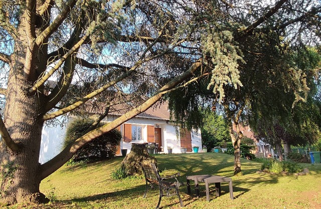 Quiet house with 1000m2 garden