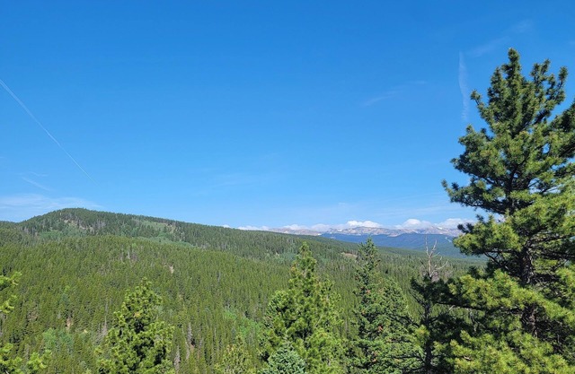 Quiet, Rural, Colorado Mountains Campground