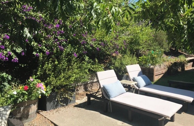Quiet Sonoma Home - Close to Bike Path