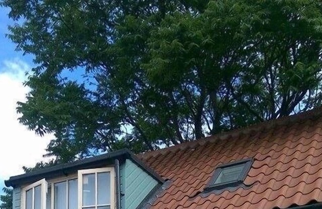 Quitely Located In Heart Of This Bustling Seaside Town
