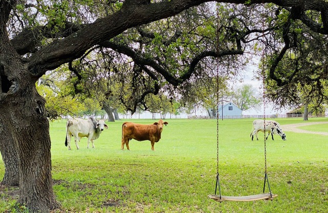 Radish Row, A Place to Stay (Extended Stay Discounts)