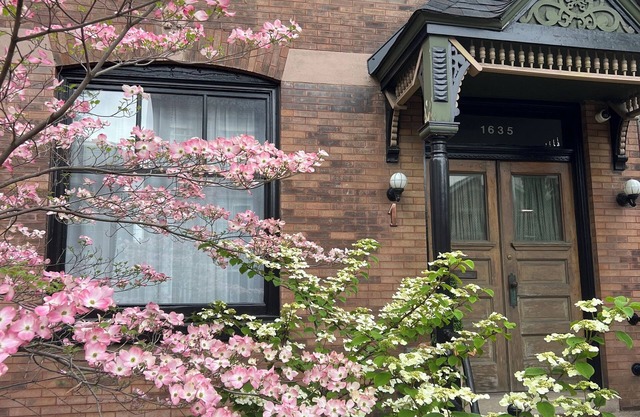 Rainbow Guest House: Charming 3-bedroom house in great location