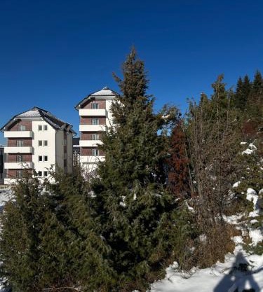 Ramondia, Kopaonik