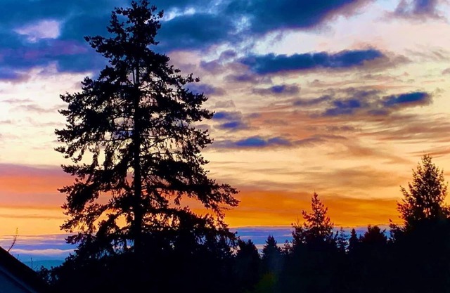 RARE FIND! Nature Retreat style Haven Near Portland Bordering Nature Reserve