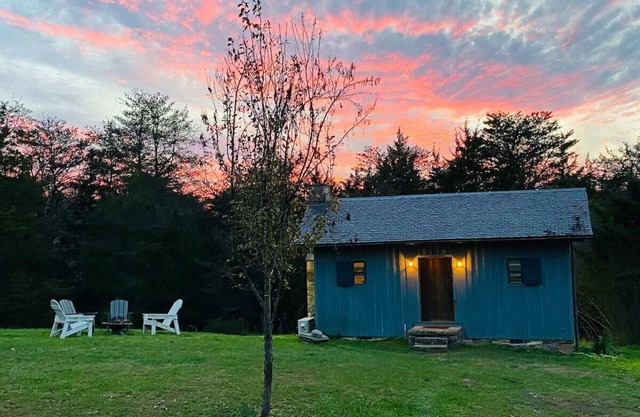 Rare Find: Private Animal Sanctuary & Tiny Cottage