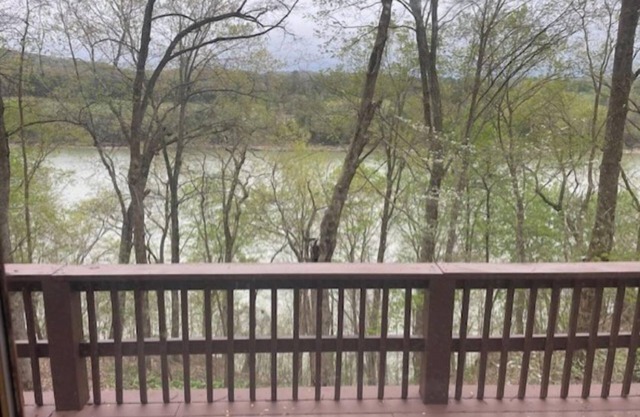 Real Log Cabin with lake view and minutes from 3 plus boat ramps!
