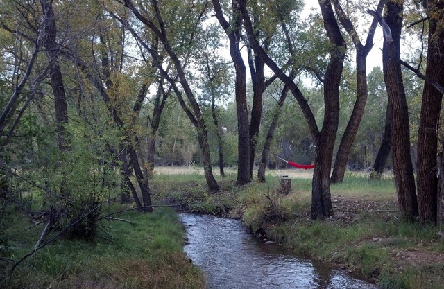 Recently renovated 2252 SF Log Home on 15 acres, 5 creeks, 3 Ponds, Mt Views