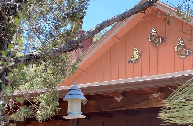 Relaxing Mountain Getaway, Rivers, Fishing, Trails, Waterfalls, Hiking, Cabin