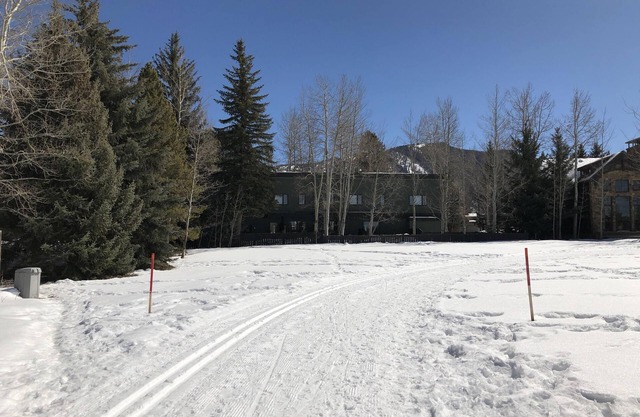 Remodeled Holiday Rental on Aspen Cross-Country Trail