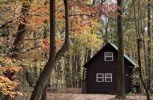 Remodeled log cabin near DeSoto Falls & Mentone