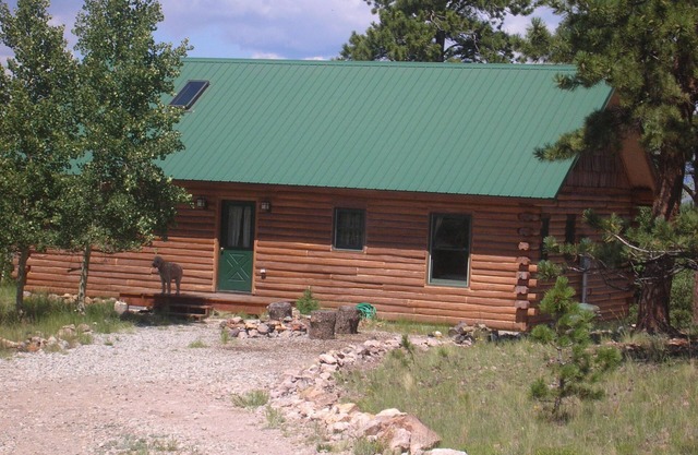 Remote Log Cabin Artist Retreat - comfort, serenity - spectacular views!