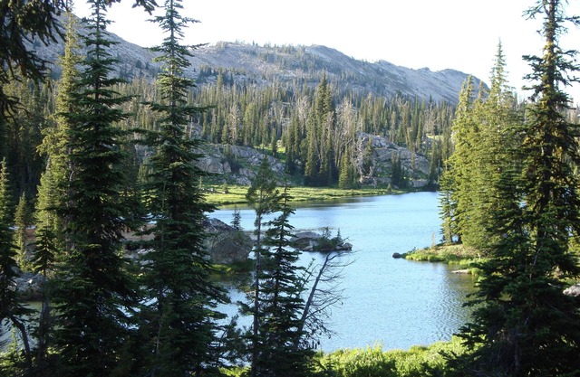 REMOTE Private Mountain Lake Cabin