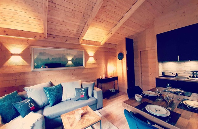 Renovated apartment Ski-in/ski-out splendid view