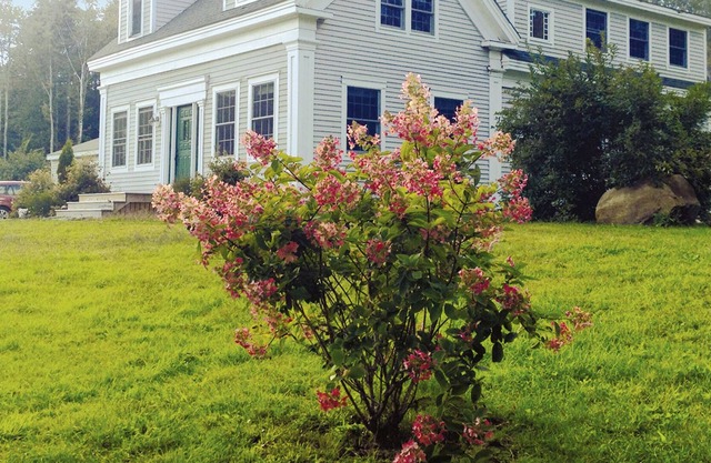 Renovated, Sunny 1850's Island Farmhouse