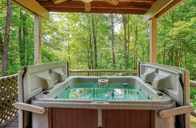 Rent 2 nights, Get 1 Free in January! Cozy cabin with private waterfall!