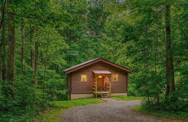 Rent 2 nights, Get 1 Free in January! Cozy 1 br cabin on 80 acres near caves!