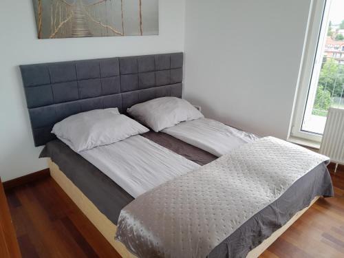 Residental design Apartment