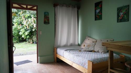 RIO CELESTE - Rio Celeste Dreams