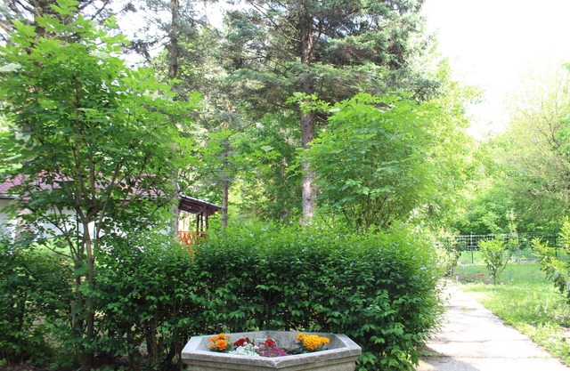 River Danube Cottage