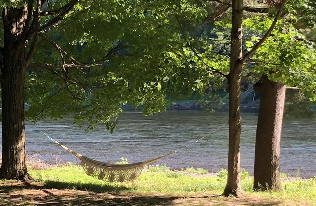 RiverDream offers a waterfront experience in chic Narrowsburg -Walk to town.
