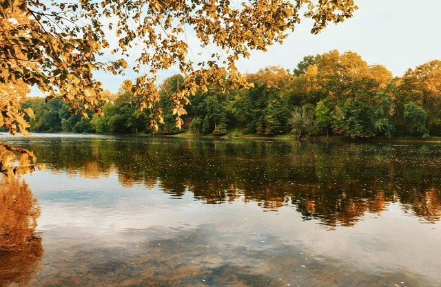 Riverfront logcabin; EVcharging, hot tub, firepit, Petfriendly Canoes, Sleeps 12