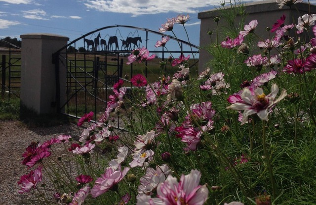 Romantic get away located on a working farm just 20 minutes from Durango.