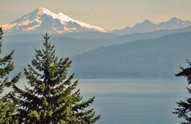 Romantic Waterview Island Cabin/Enclosed Hot TUB/Pet Friendly/wood fire n