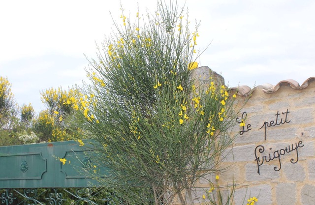 Rooms for rent in the peace of the countryside, near Avignon.